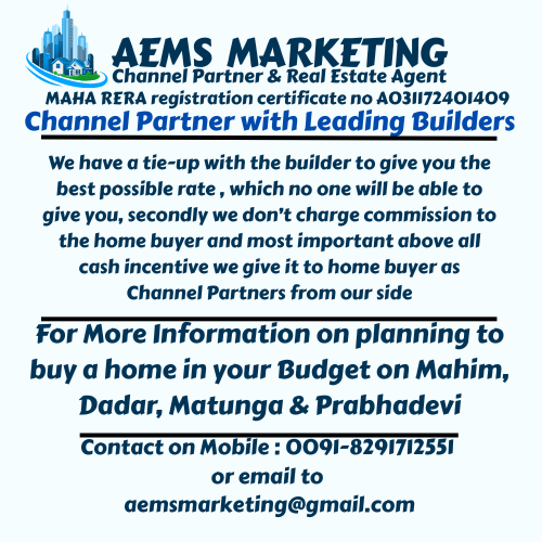 aems marketing (3)